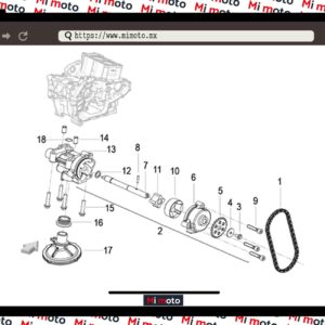 BOMBA DE ACEITE 302S