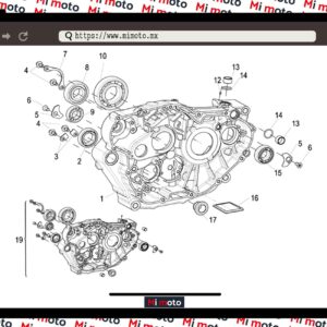 CARTER DERECHO TNT25