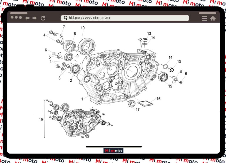 CARTER DERECHO TNT25
