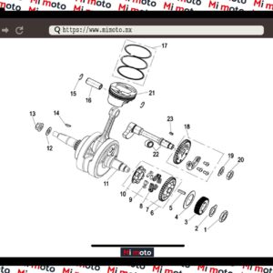 PISTON CIGUENAL TNT25