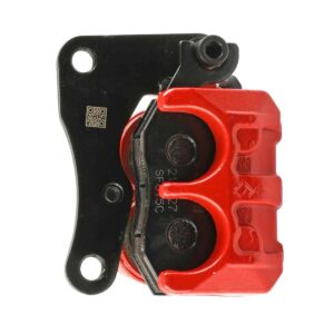 Caliper Trasero
