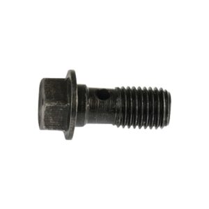 Tornillo Aceite M10X22