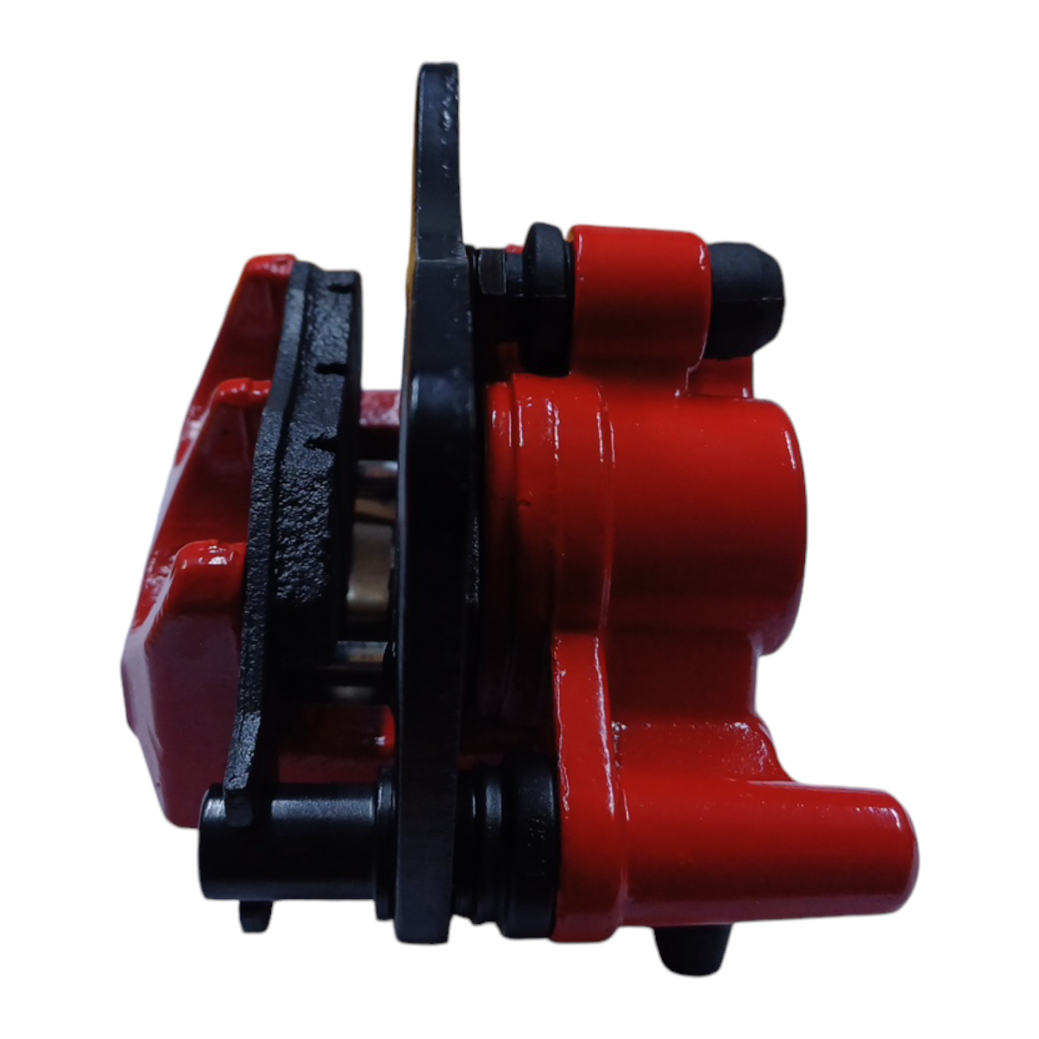 Caliper Trasero - Imagen 5