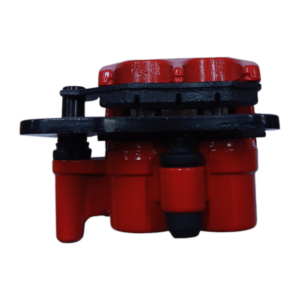 Caliper Trasero