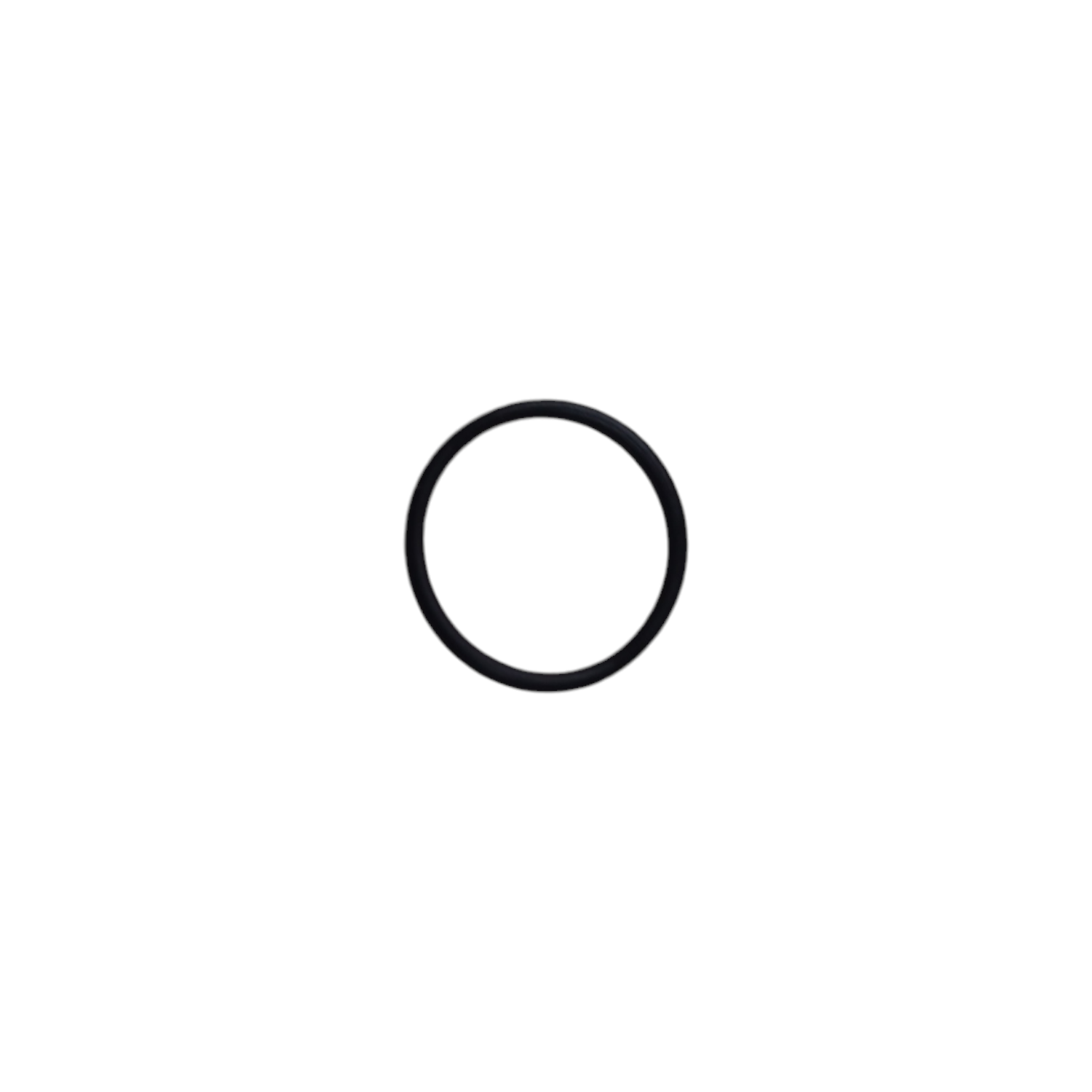 O-Ring 19X1.8